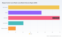 PW Consulting: Myopia Control Plastic Lens Market to Reach USD 344.8M by 2032 at 6.98% CAGR