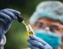 Cannabis Extract Market sees surge in pet wellness product demand