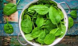 Lutein Market demand in infant nutrition and prenatal care driving new formulations