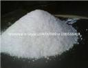 Naphthalene Acetic Acid Market Enhancing Rooting Efficiency in Tissue Culture and Nursery Practices