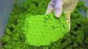 Nickel Hydroxide Market Economic Overview Amid Global Disruptions and Fluctuating Commodity Trade Flows