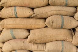 Agricultural Packaging Market Shifts Driven by Sustainability, E-Commerce, and Technological Advancements Globally