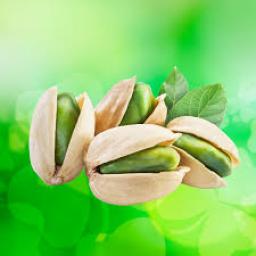 Pistachio Market government subsidies and agricultural policy reforms influencing production outlooks