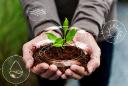 Biofertilizers Market Growth Accelerated by Organic Farming, Government Policies, and Technological Advancements