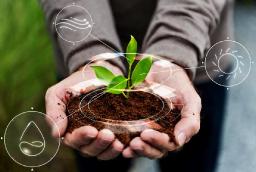 Biofertilizers Market Growth Accelerated by Organic Farming, Government Policies, and Technological Advancements