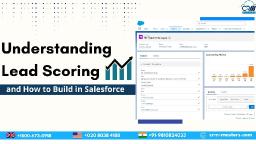 How to Build a Lead Scoring System in Salesforce That Works?