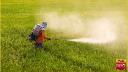Biopesticides Market Landscape Reflects Global Shift Toward Eco-Friendly and Sustainable Crop Protection Solutions