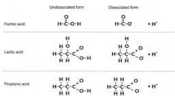 Organic Acid Market Consumer Preferences