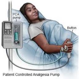 Patient-Controlled Analgesia Pump Market Market Resilience