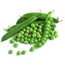 Pea Fiber Market Economic Factors
