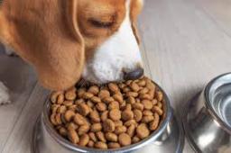 Pet Food Market Big Data Integration