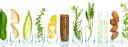 Plant Based Personal Care Ingredients Market Value Chain Analysis