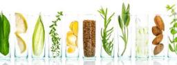 Plant Based Personal Care Ingredients Market Value Chain Analysis