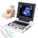 Veterinary Ultrasound Scanner Market Policy Framework