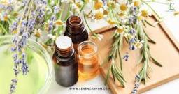 Plant Based Personal Care Ingredients Market Regional Growth Patterns
