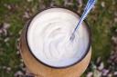 Vegan Yogurt Market Growth Driven by Health Trends, Sustainability Goals and Expanding Global Opportunities