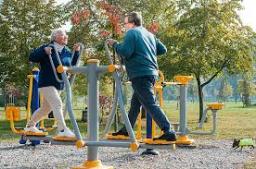 Fitness Equipment Market Insights On E-commerce Expansion And Online Sales Growth