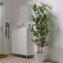 Artificial Plants Market Growth Driven by Commercial Adoption and Advanced Eco-Friendly Design Innovations