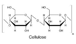 Cellulose Market Growth Outlook with Forecast Analysis 2032