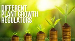 Plant Growth Regulators Market Challenges And Prospects In Different Geographical Segments