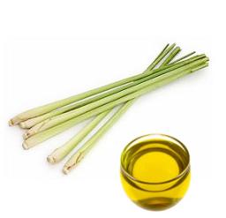 Citronella Oil Market Forecast: Future Growth Trends, Emerging Applications, and Market Expansion Opportunities