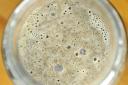 Compressed Yeast Market in Critical Pain Points Affecting Production, Distribution, and Industry Growth Worldwide