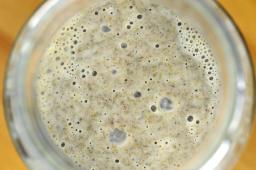 Compressed Yeast Market in Critical Pain Points Affecting Production, Distribution, and Industry Growth Worldwide