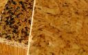 Cork Board Insulation Market in Identifying Key Restraints, Cost Challenges, and Supply Limitations Worldwide