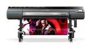 Photo Printing and Merchandise Market insights into pricing strategies and consumer purchasing behavior globally