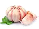 Garlic Market Trends Evaluating Impact Of Climate Change On Cultivation And Productivity Levels
