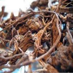 Forskolin Market Growth Driven By Consumer Awareness, Product Innovation, And Regional Opportunities Globally