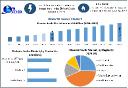 Diabetic Socks Market Growth, Product Type & Application Segments Forecast 2025 &ndash; 2032