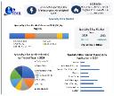 Specialty Silica Market Growth Drivers, Development Segments, and Analysis Forecast 2025 &ndash; 2032