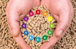 Acid and Nutrient in Animal Nutrition Market to Reach USD 9.4 Billion by 2032 with a CAGR of 7.9% - Market Growth Insights