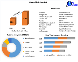 Visceral Pain Market: Expected to Witness Significant Growth During the Forecast Period of 2023-2029