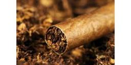Roll-Your-Own Tobacco Products Market Insights: Growth Drivers, Innovation, and Future Trends
