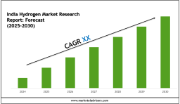 India Hydrogen Market 2030: Executive Overview, Trends & Future Prospects