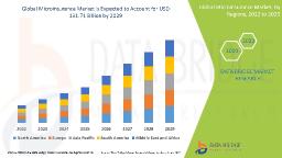 Financial Inclusion Initiatives Expanding the Microinsurance Market