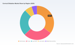 PW Consulting: Cervical Dilator Market Poised to Grow from USD 132.0 Million in 2025 to USD 206.4 Million by 2032 at a 6.7% CAGR