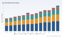 PW Consulting: Car Wax Market Poised to Expand at a 4.5% CAGR, Opening New Strategic Opportunities