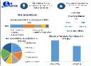 Rice Syrup Market Industry Overview, Size, Principal Drivers, and Future Developments