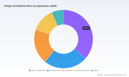PW Consulting: Ellagic Acid Market to grow at 6.65% CAGR - USD 275M (2025) to USD 425M (2032)