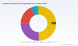 Diabetes Telemedicine Market to Grow at 13.5% CAGR Through 2032 - PW Consulting