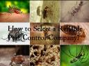 Why Every Melbourne Property Needs a Proactive Pest Control Plan
