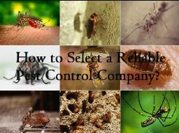 Why Every Melbourne Property Needs a Proactive Pest Control Plan