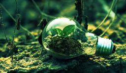 Green Mining Market: Driving Sustainable Transformation in the Global Mining Industry