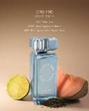 Understanding the Structure of Aquatic Woody Fragrances