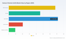 PW Consulting: CaCl2 Market to Grow at 6.98% CAGR Through 2032