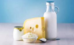 Dairy Protein Market: Innovations Shaping the Future of Protein Nutrition