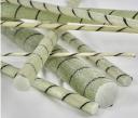 Composite Rebar Market: Key Trends, Growth Drivers, and Future Outlook